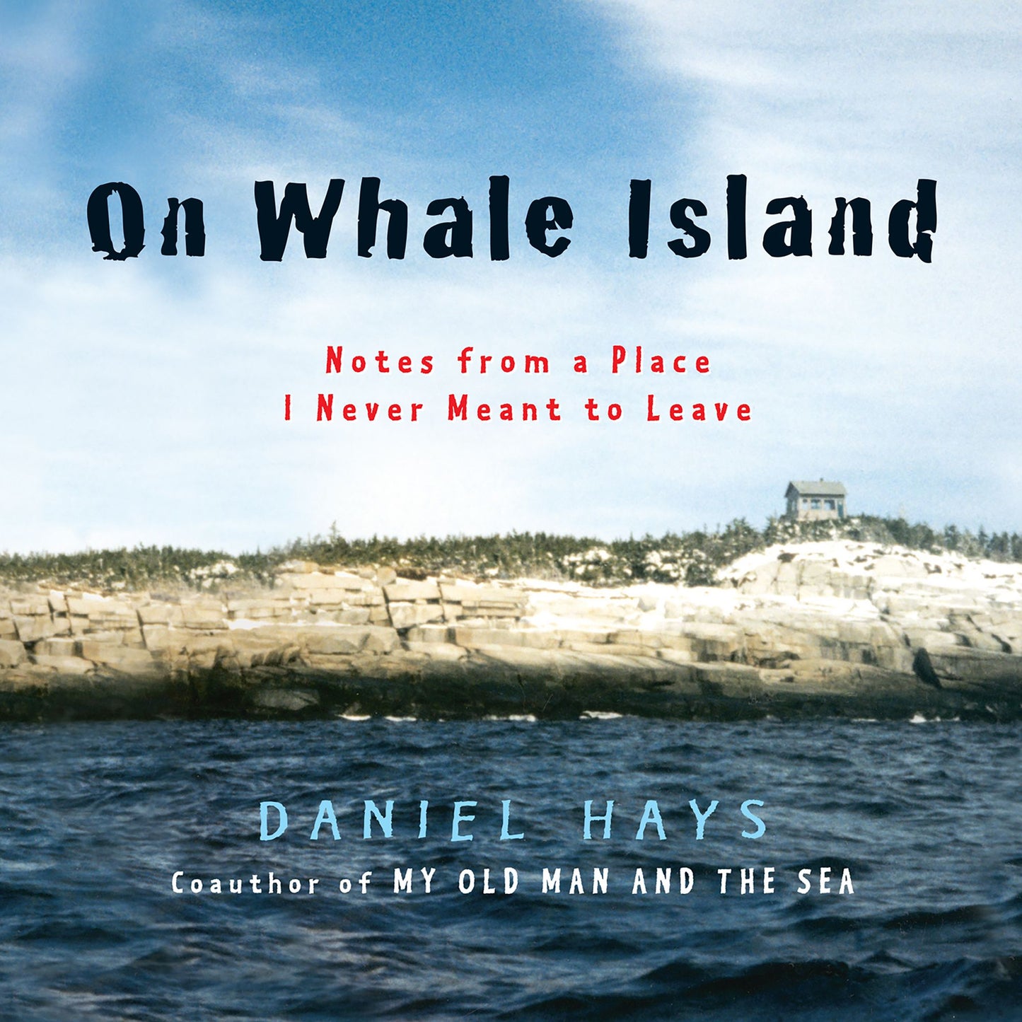 On Whale Island: Notes From a Place I Never Meant to Leave