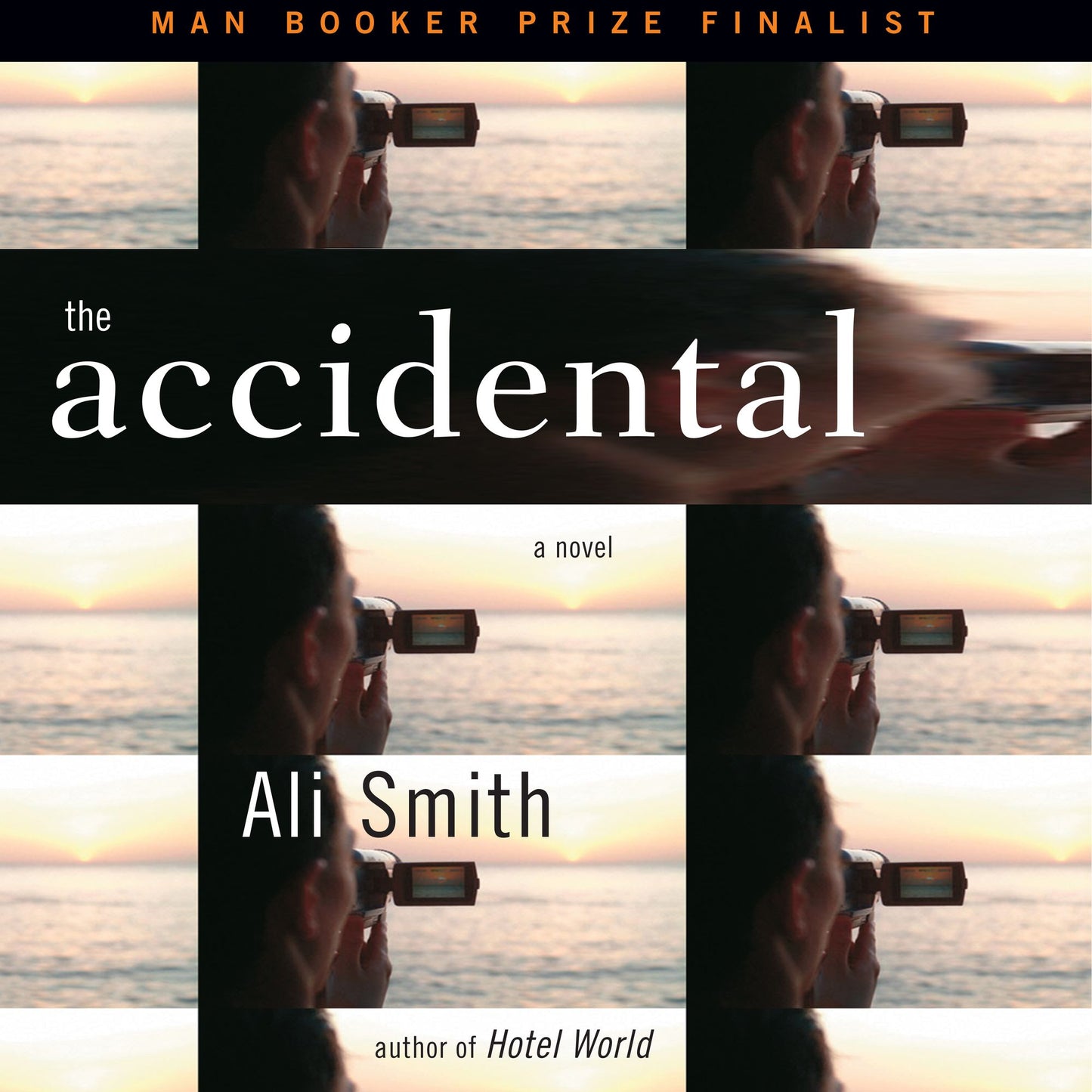 The Accidental: a novel