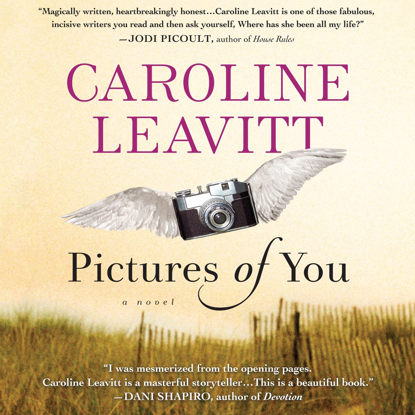 Pictures of You