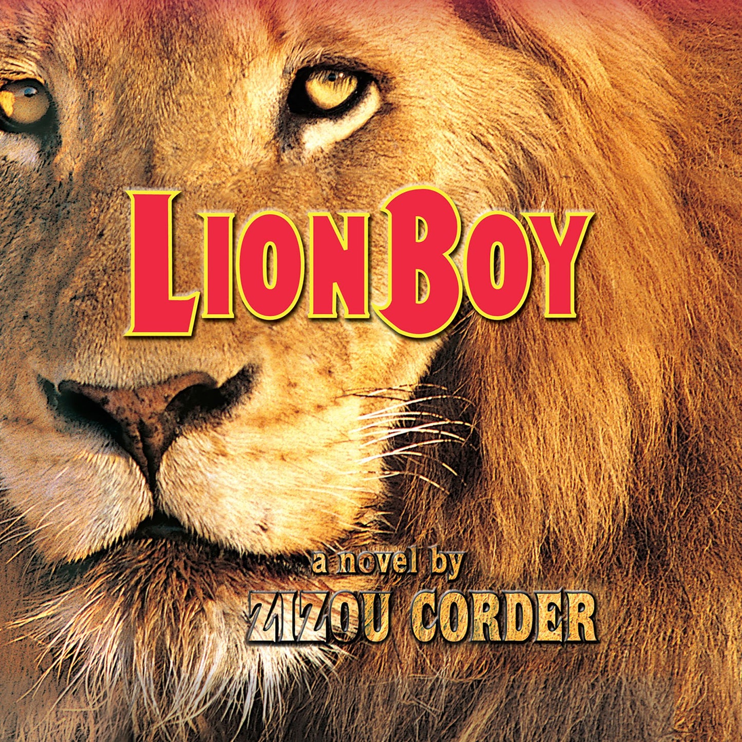 Lionboy: a novel by