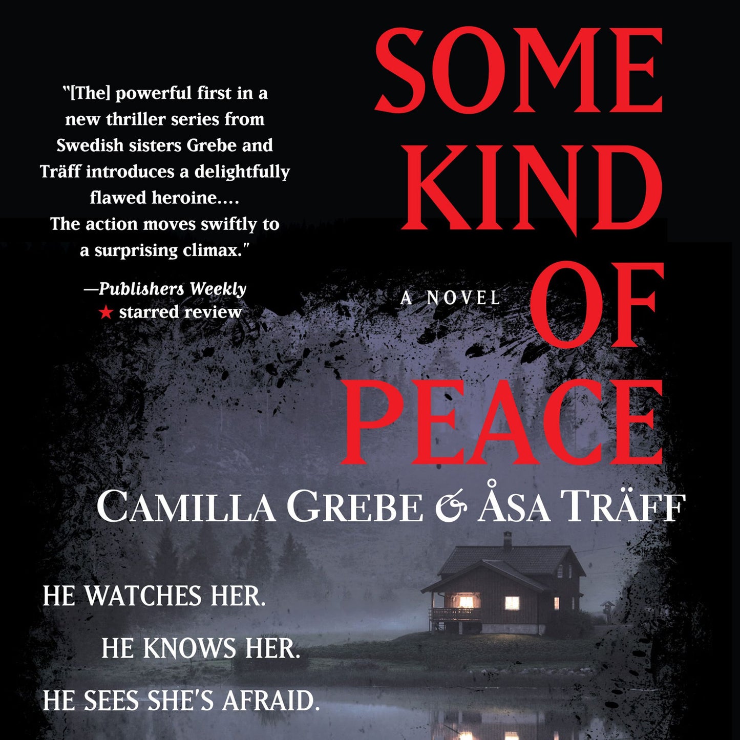 Some Kind of Peace: A Novel