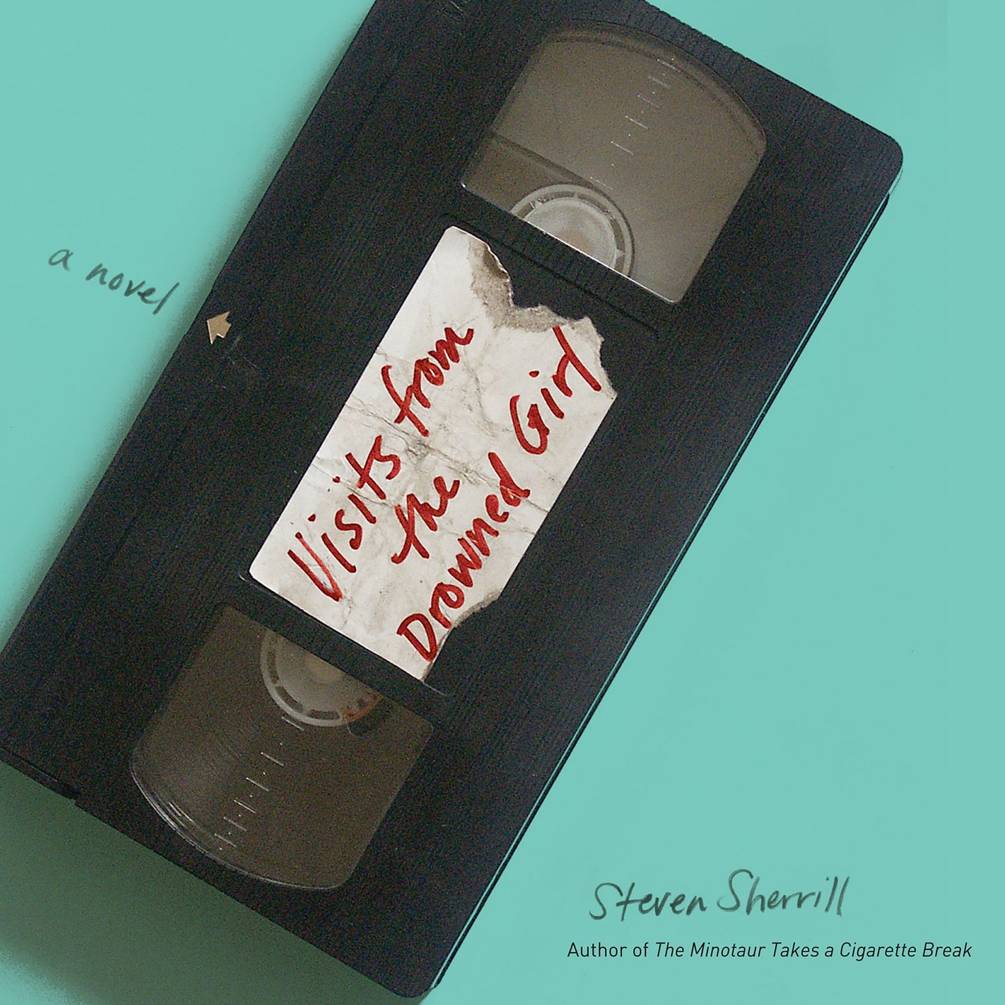 Visits from the Drowned Girl: a novel