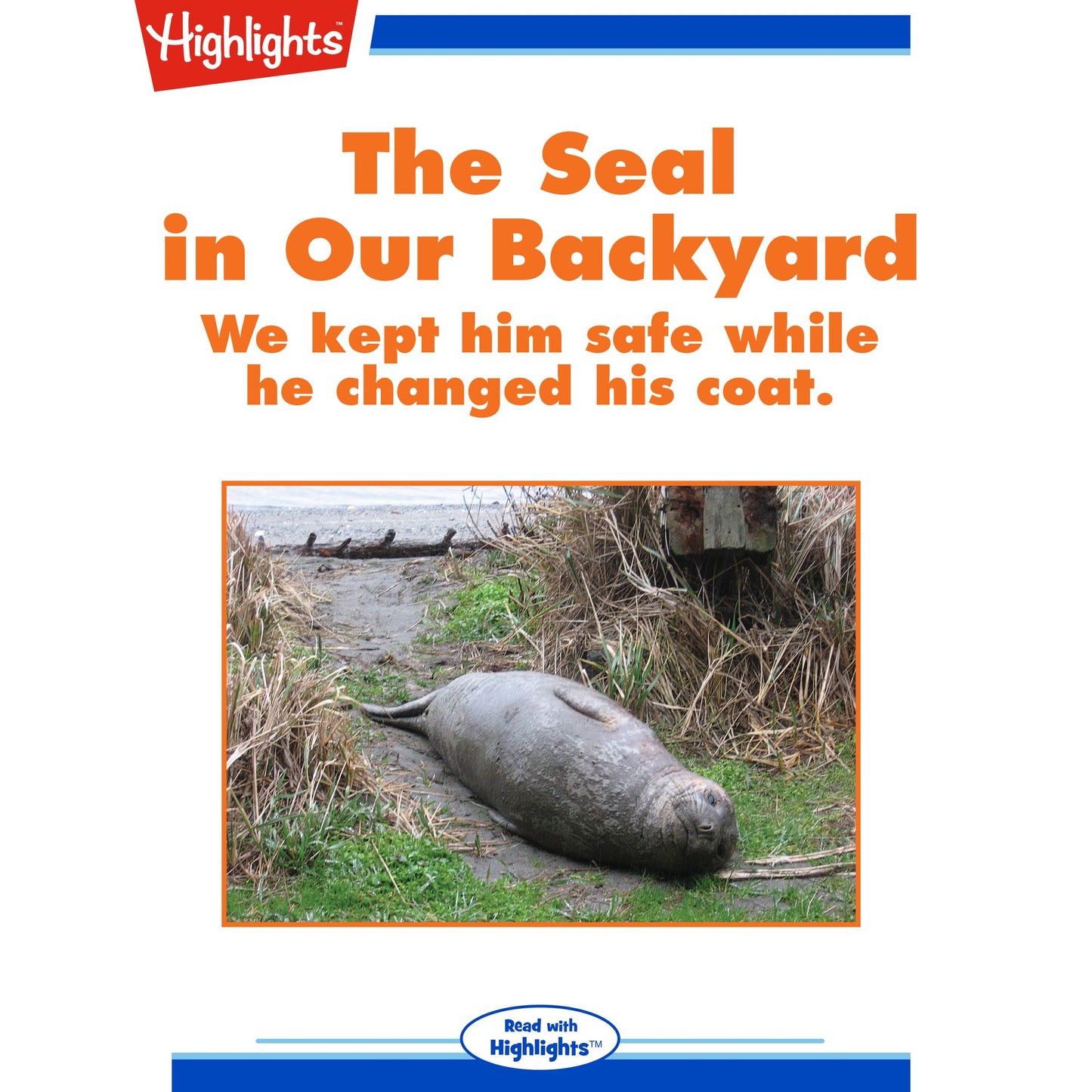 The Seal in Our Backyard: We kept him safe while he changed his coat.