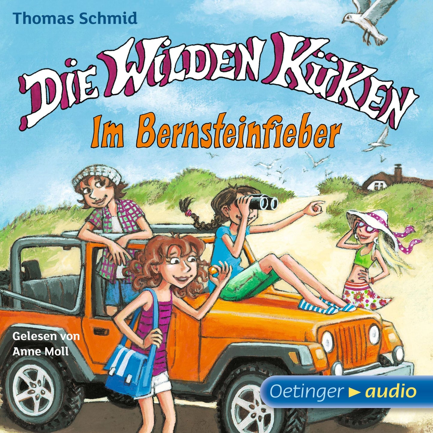 Die Wilden Küken 9. Im Bernsteinfieber: Gekürzte Lesung (Abridged)
