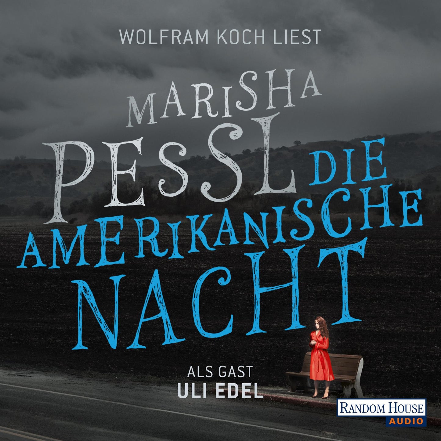 Die amerikanische Nacht (Abridged)