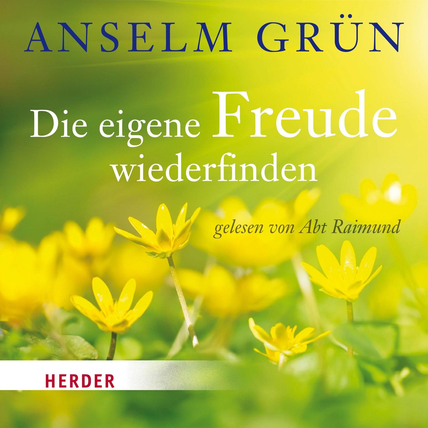 Die eigene Freude wiederfinden: gelesen von Abt Raimund (Abridged)