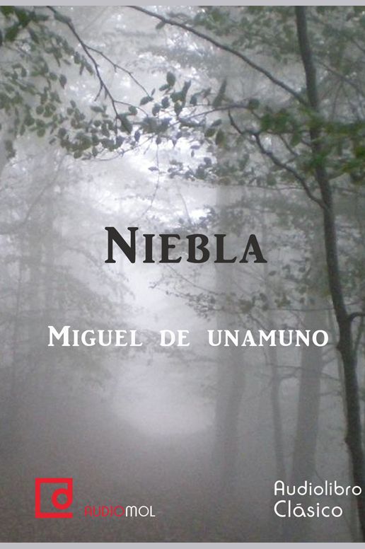 Niebla