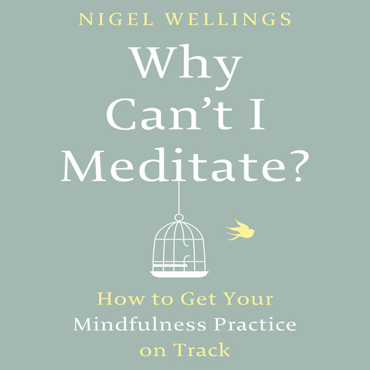 Why Can't I Meditate?: How to Get Your Mindfulness Practice on Track