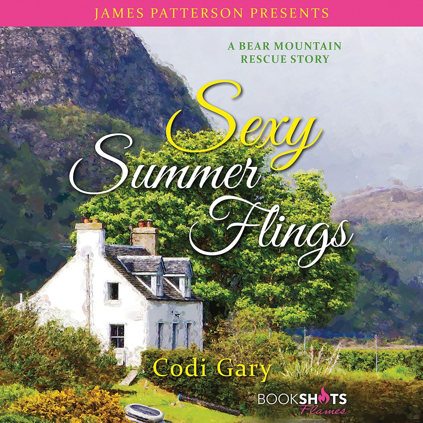 Sexy Summer Flings: A Bear Mountain Rescue Story
