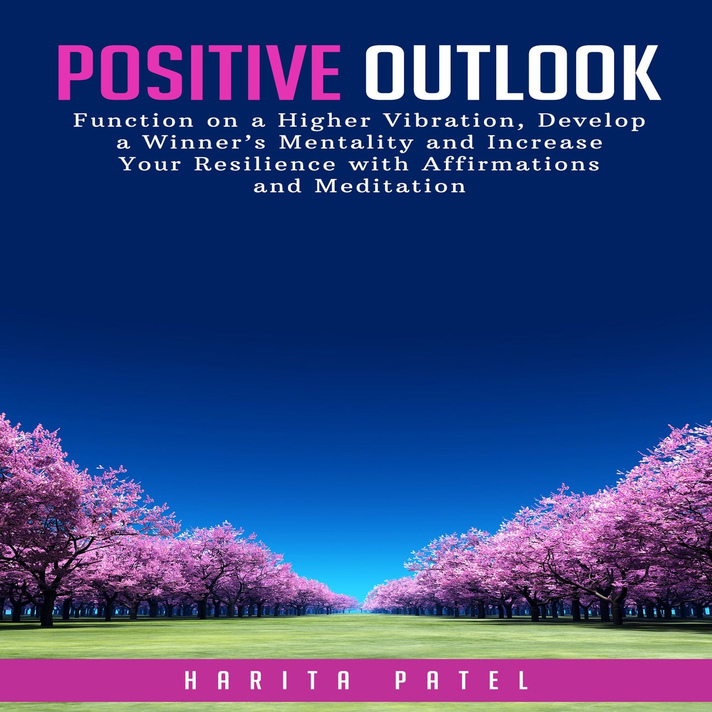 Positive Outlook: Function on a Higher Vibration, Develop a Winner¿s Mentality and Increase Your Resilience with Affirmations and Meditation