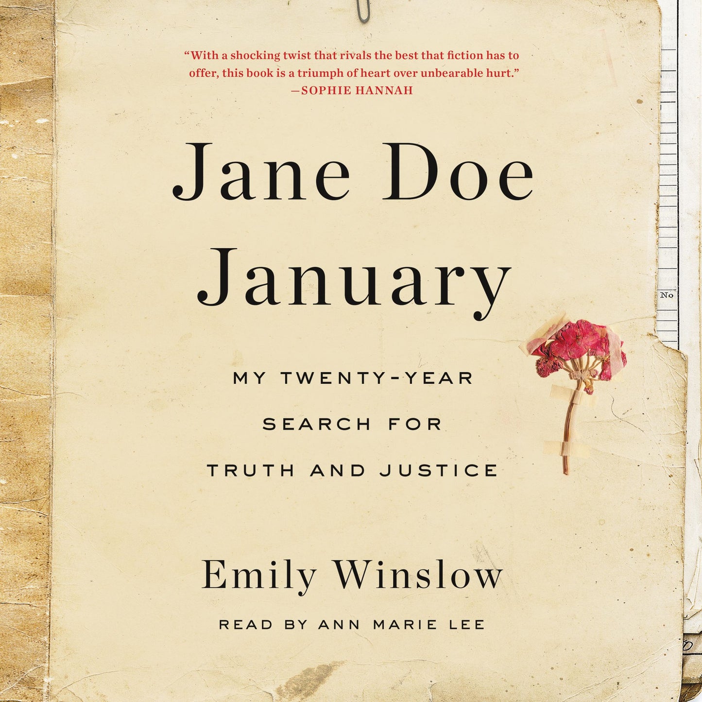 Jane Doe January: My Twenty-Year Search for Truth and Justice