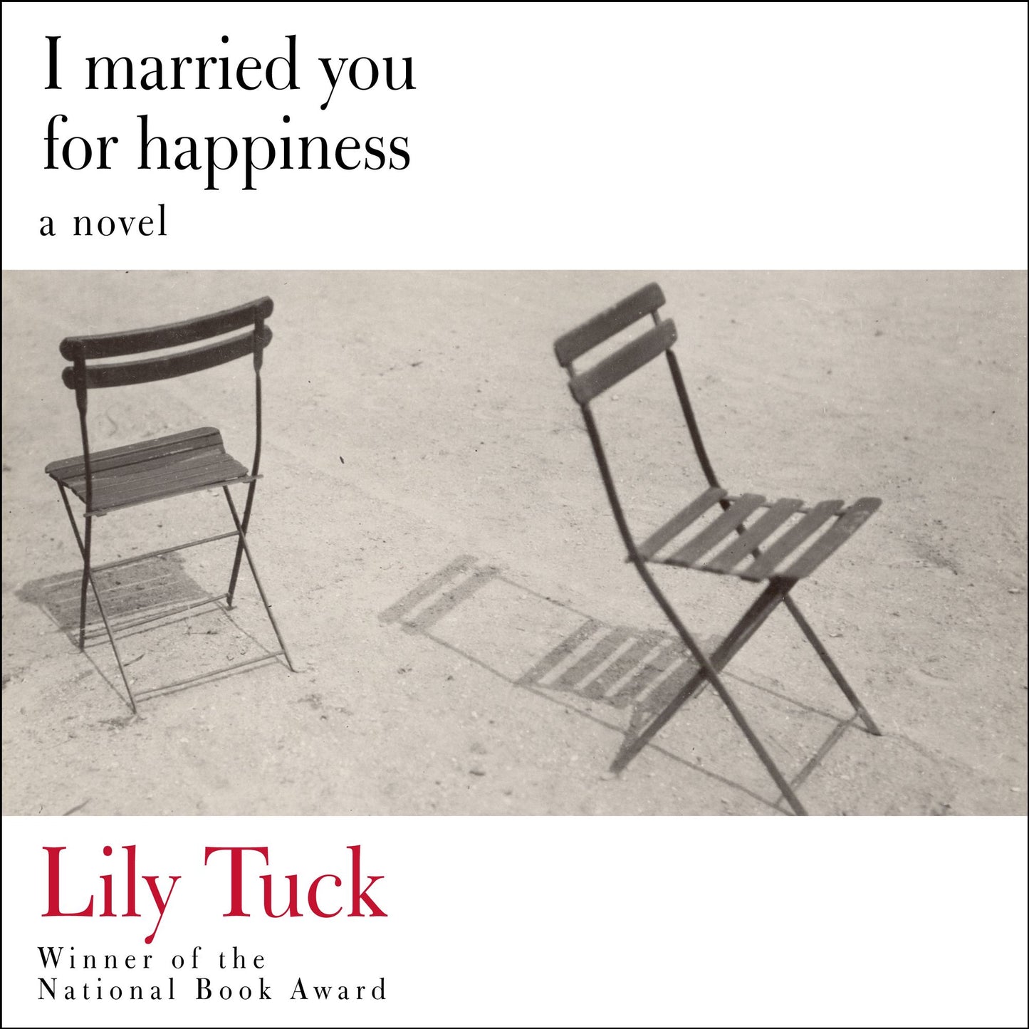 I Married You for Happiness: a novel