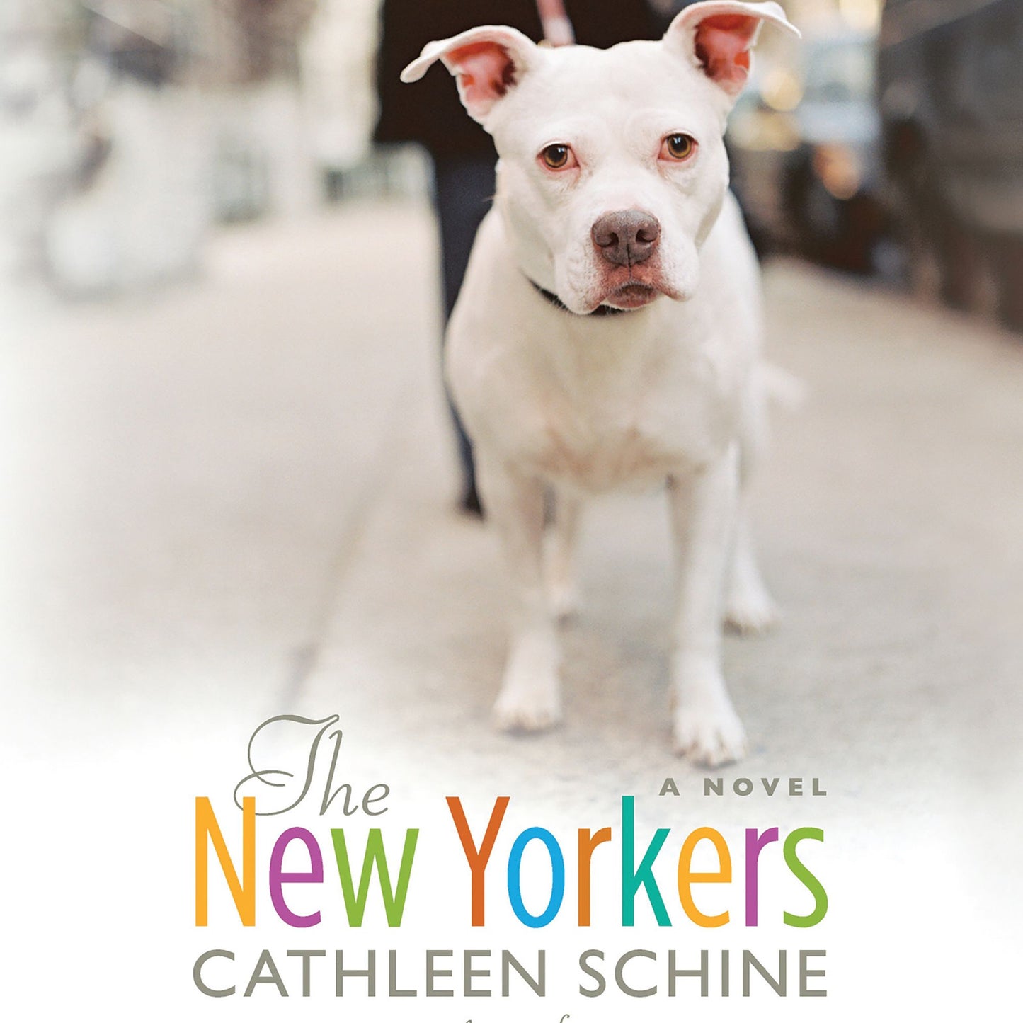 The New Yorkers: A Novel