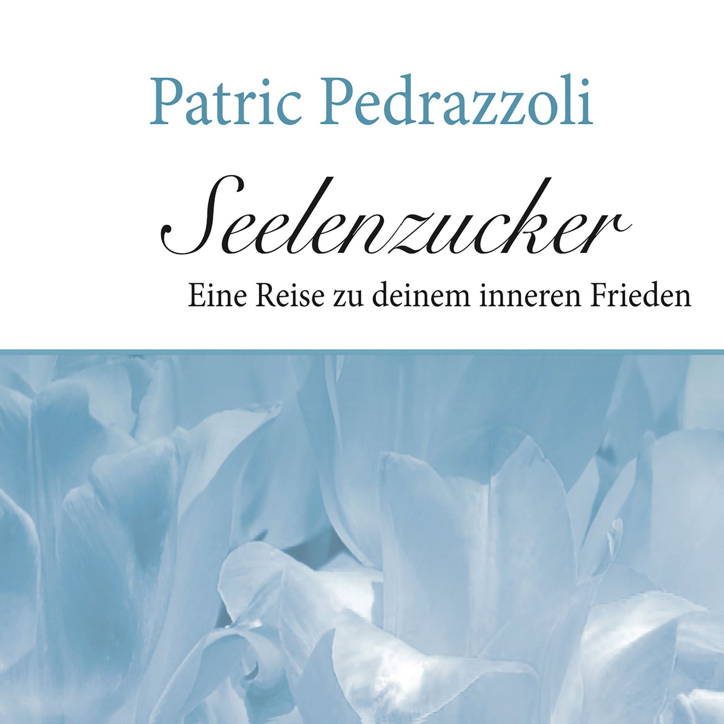 Patric Pedrazzoli - Seelenzucker : Eine Reise zu deinem inneren Frieden (Abridged)