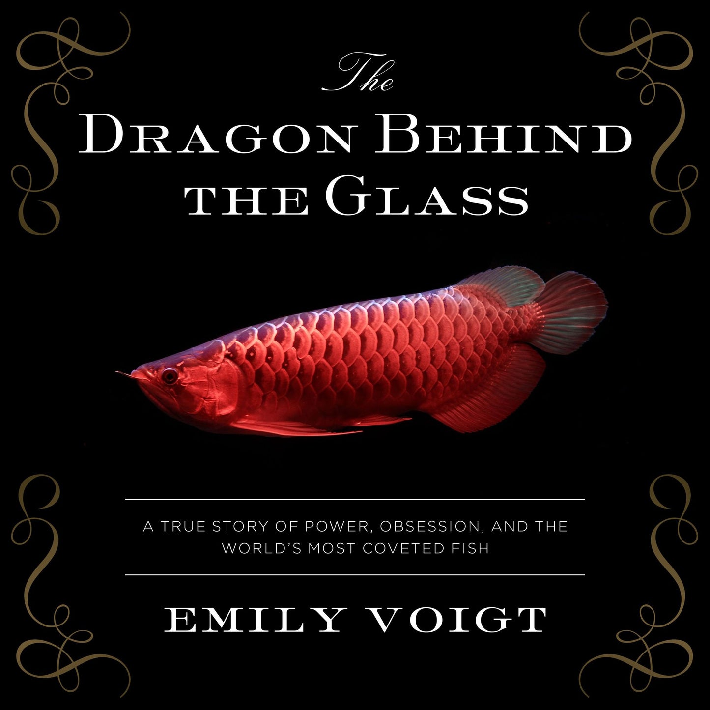 The Dragon Behind the Glass: A True Story of Power, Obsession, and the World's Most Coveted Fish