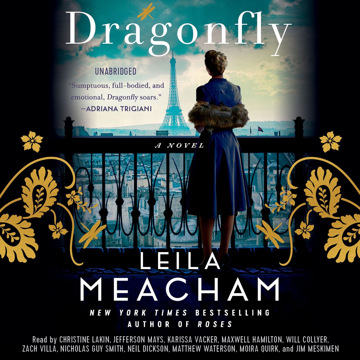 Dragonfly : A Novel