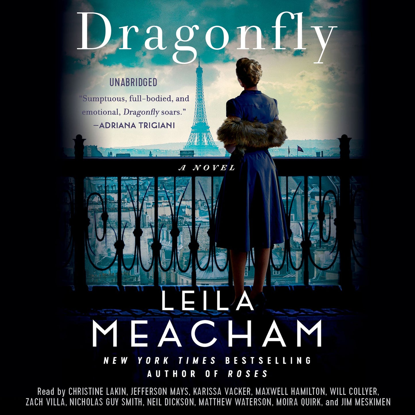 Dragonfly : A Novel