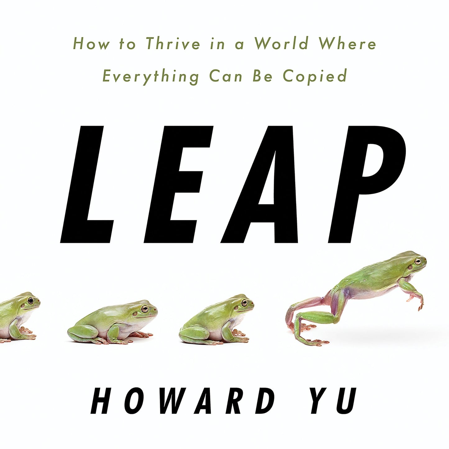 Leap: How to Thrive in a World Where Everything Can Be Copied