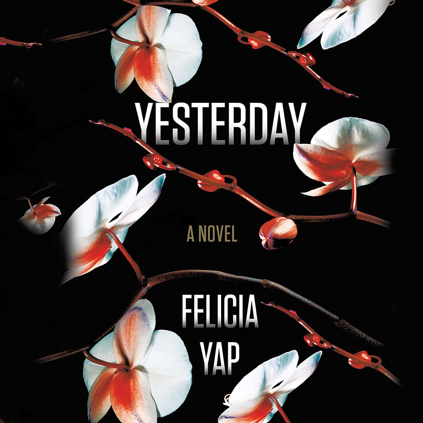 Yesterday: A Novel