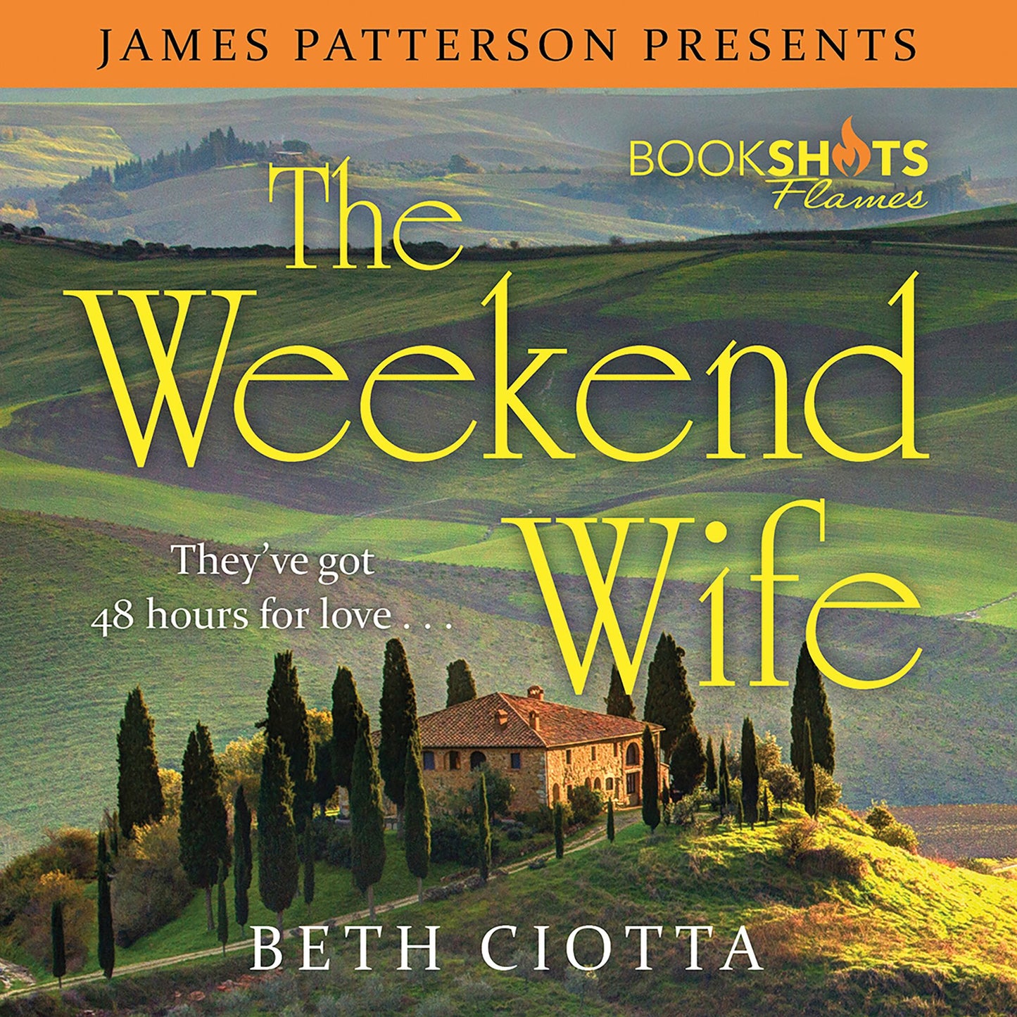 The Weekend Wife: They've got 48 hours for love ...