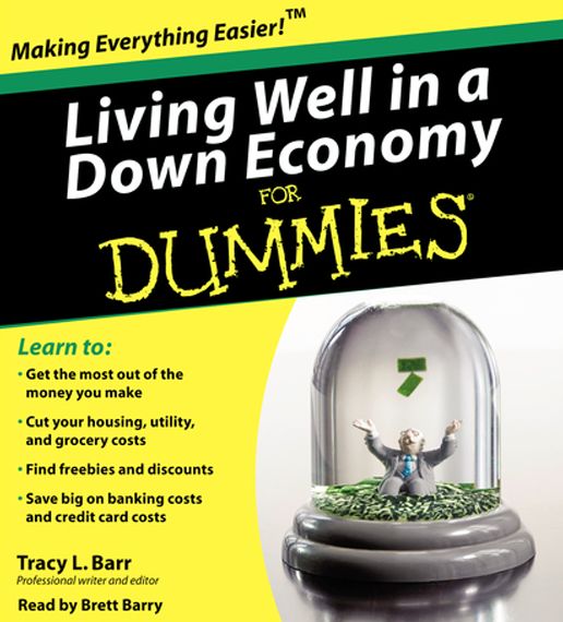 Living Well in a Down Economy for Dummies (Abridged)