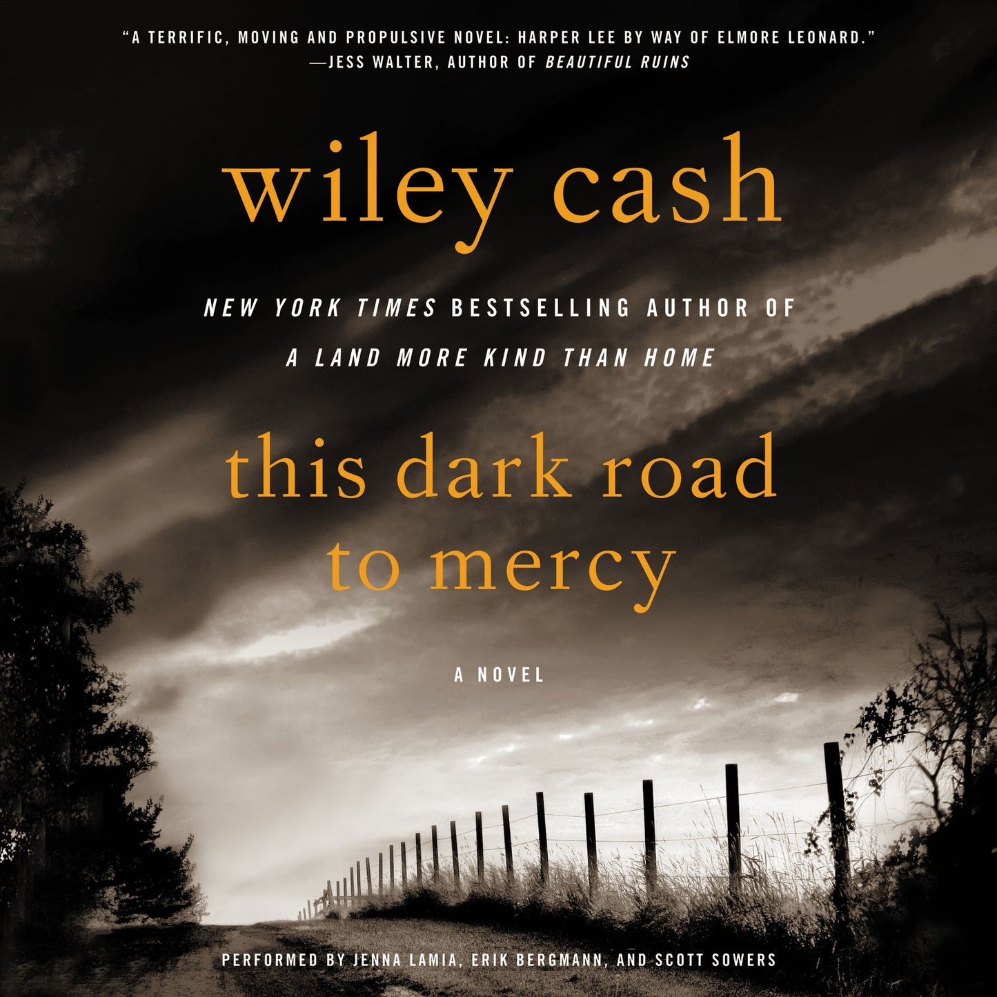This Dark Road to Mercy: A Novel