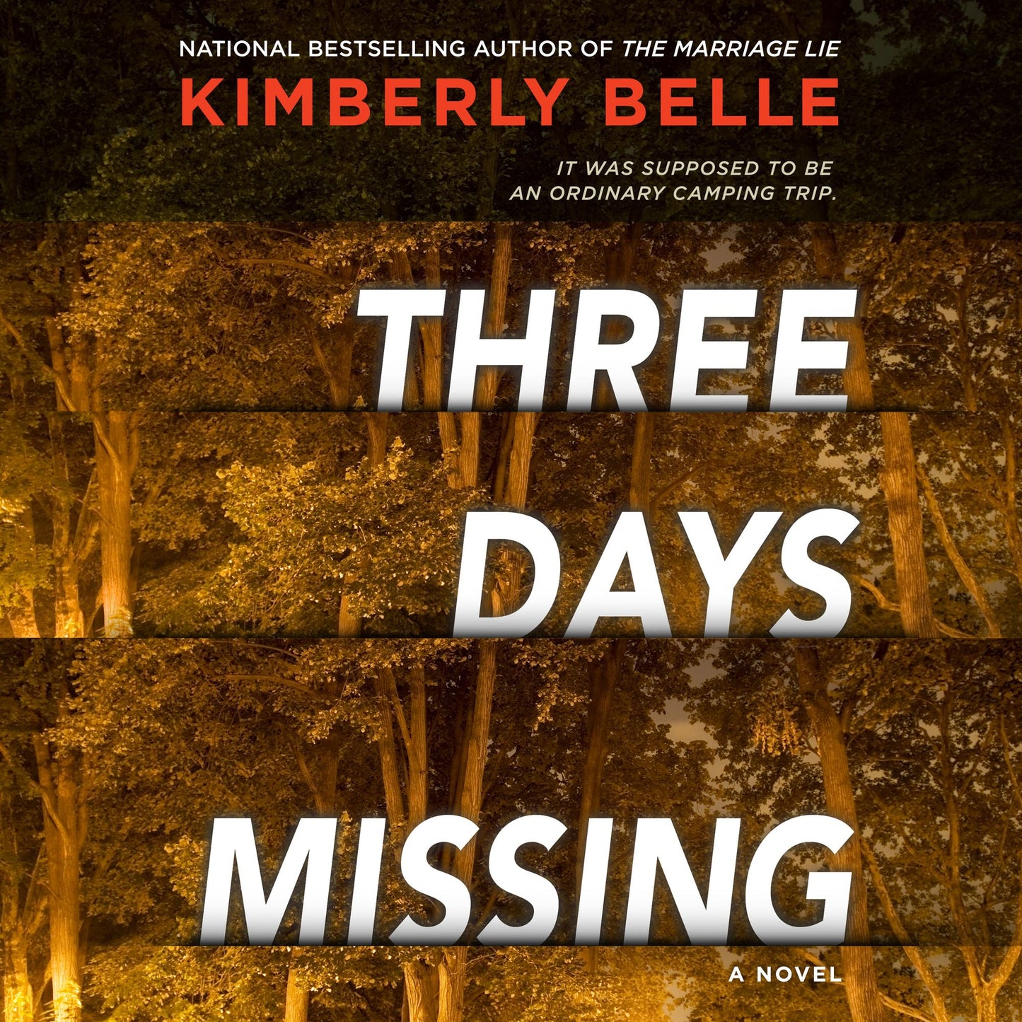 Three Days Missing: A Novel