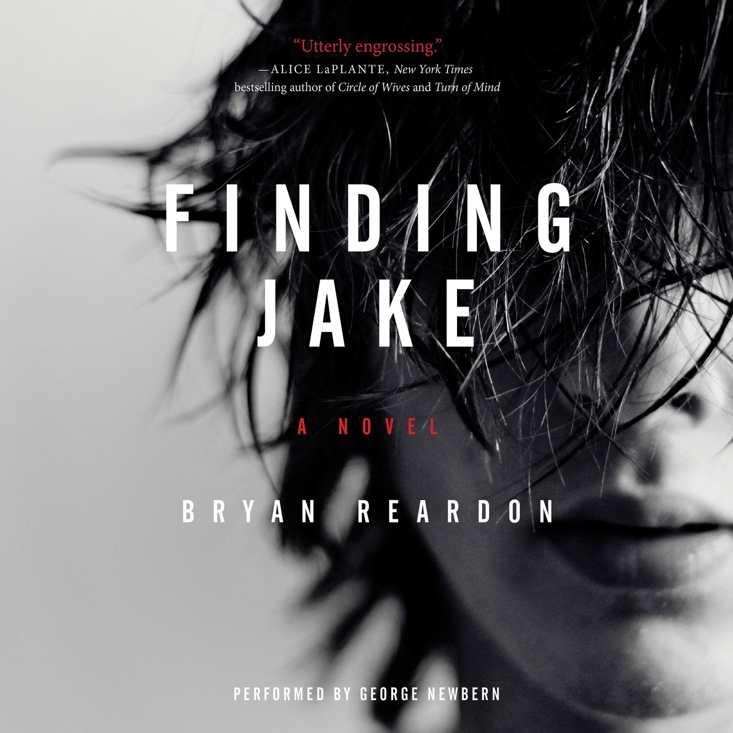 Finding Jake: A Novel