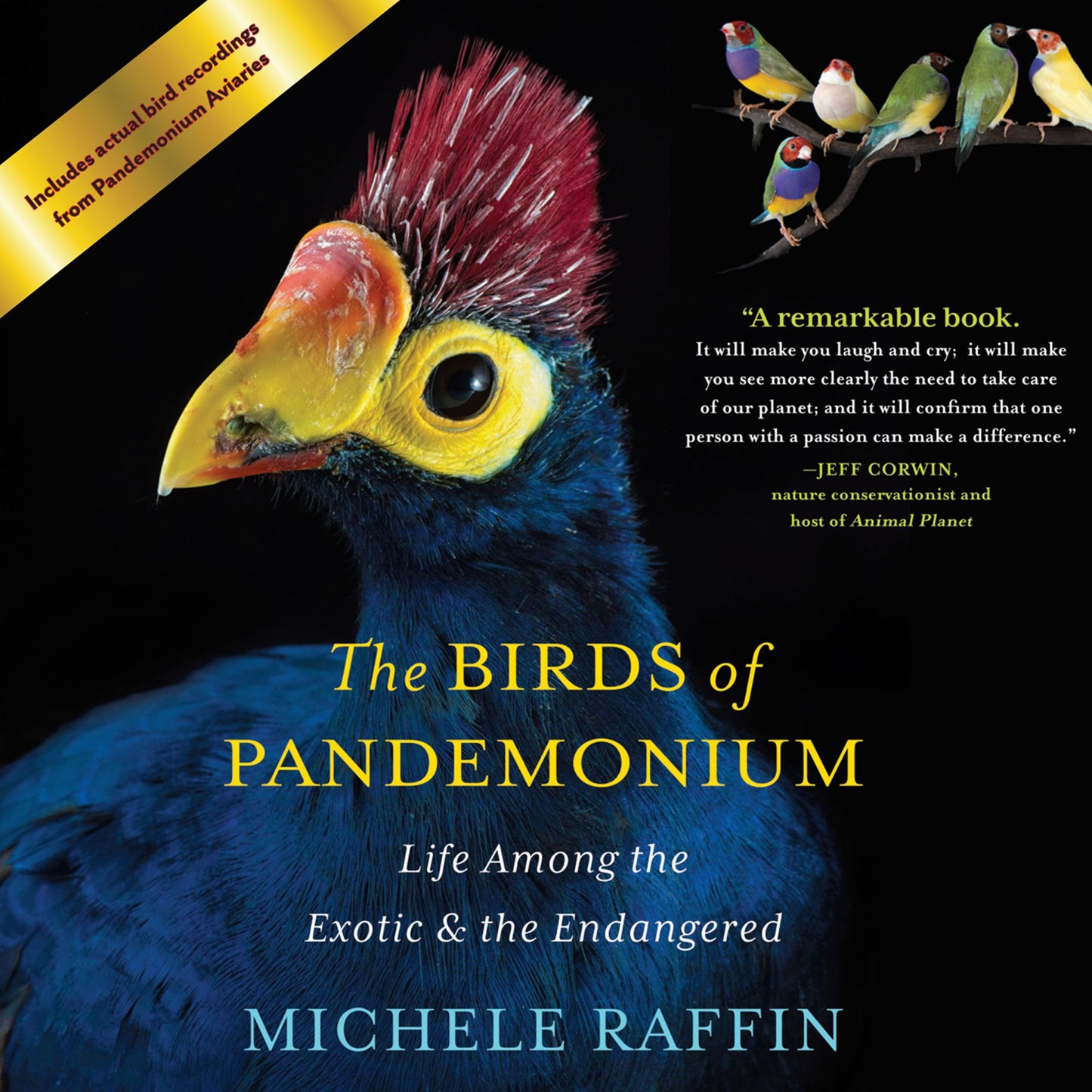 The Birds of Pandemonium: Life Among the Exotic and the Endangered