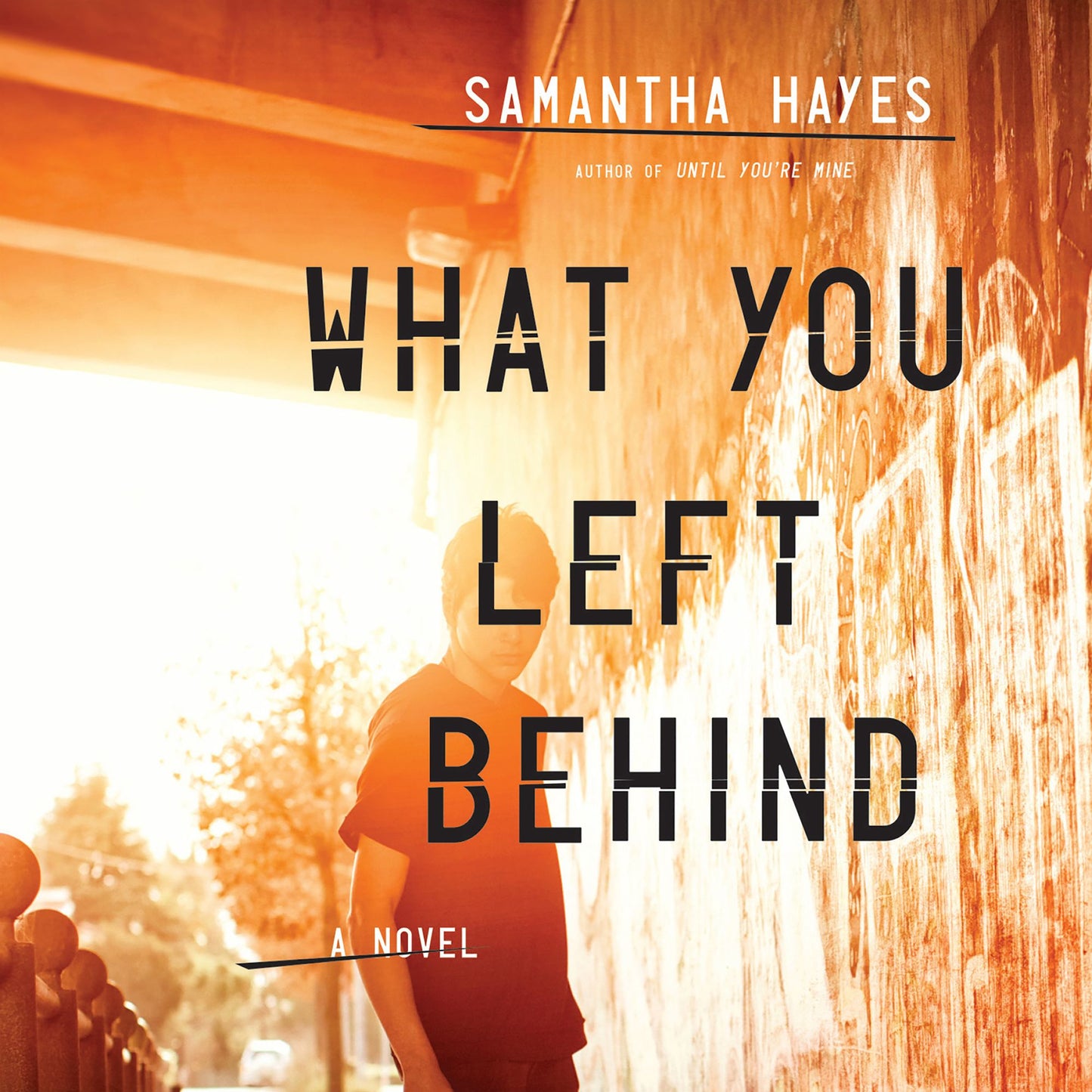 What You Left Behind: A Novel