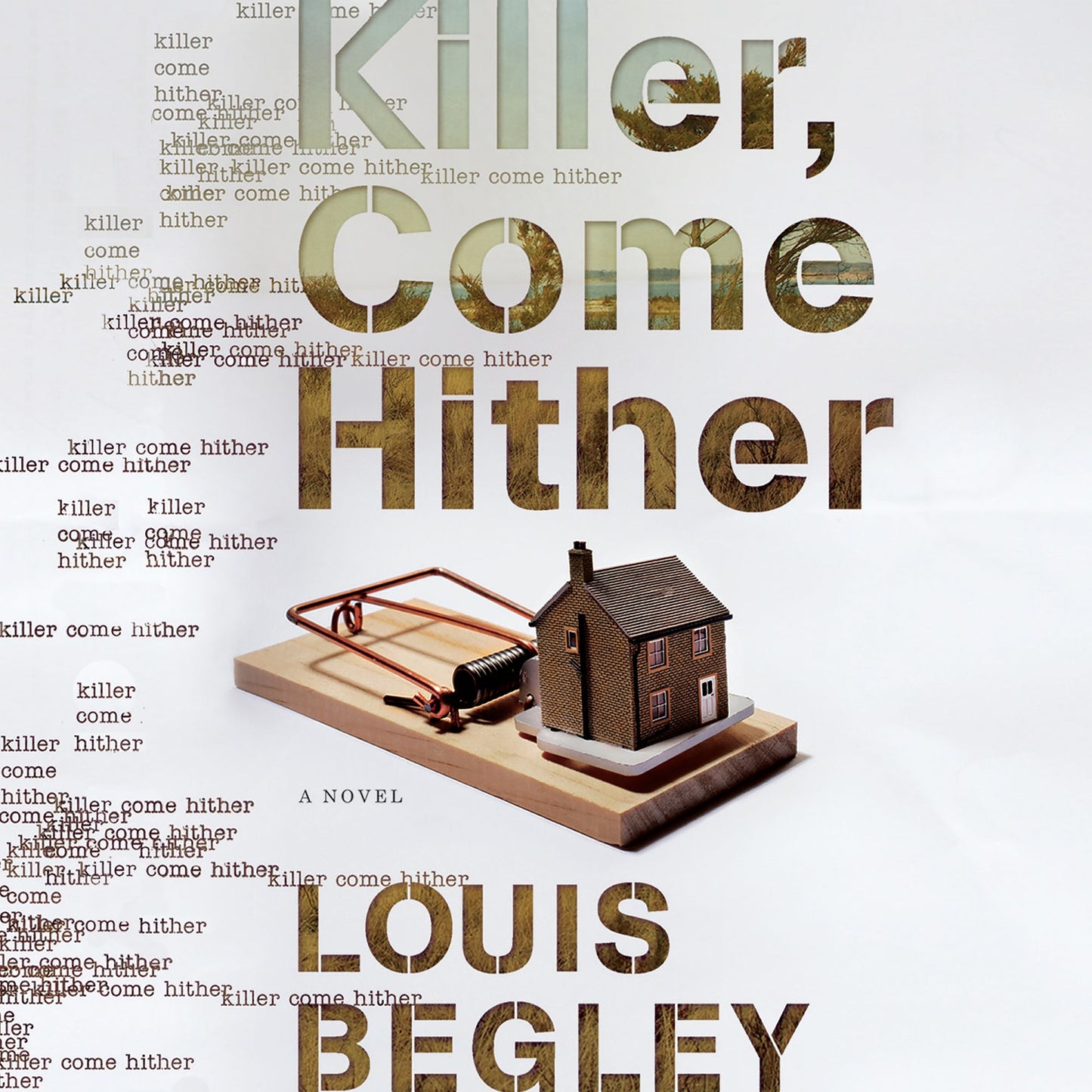 Killer, Come Hither: A Novel