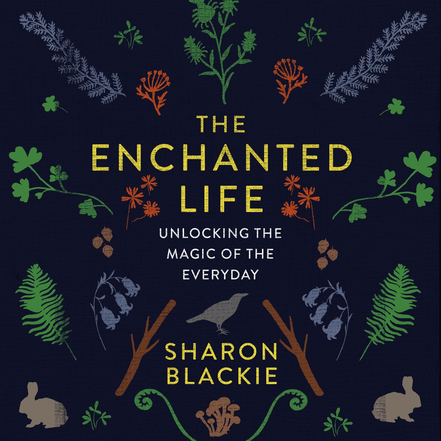 The Enchanted Life : Unlocking the Magic of the Everyday