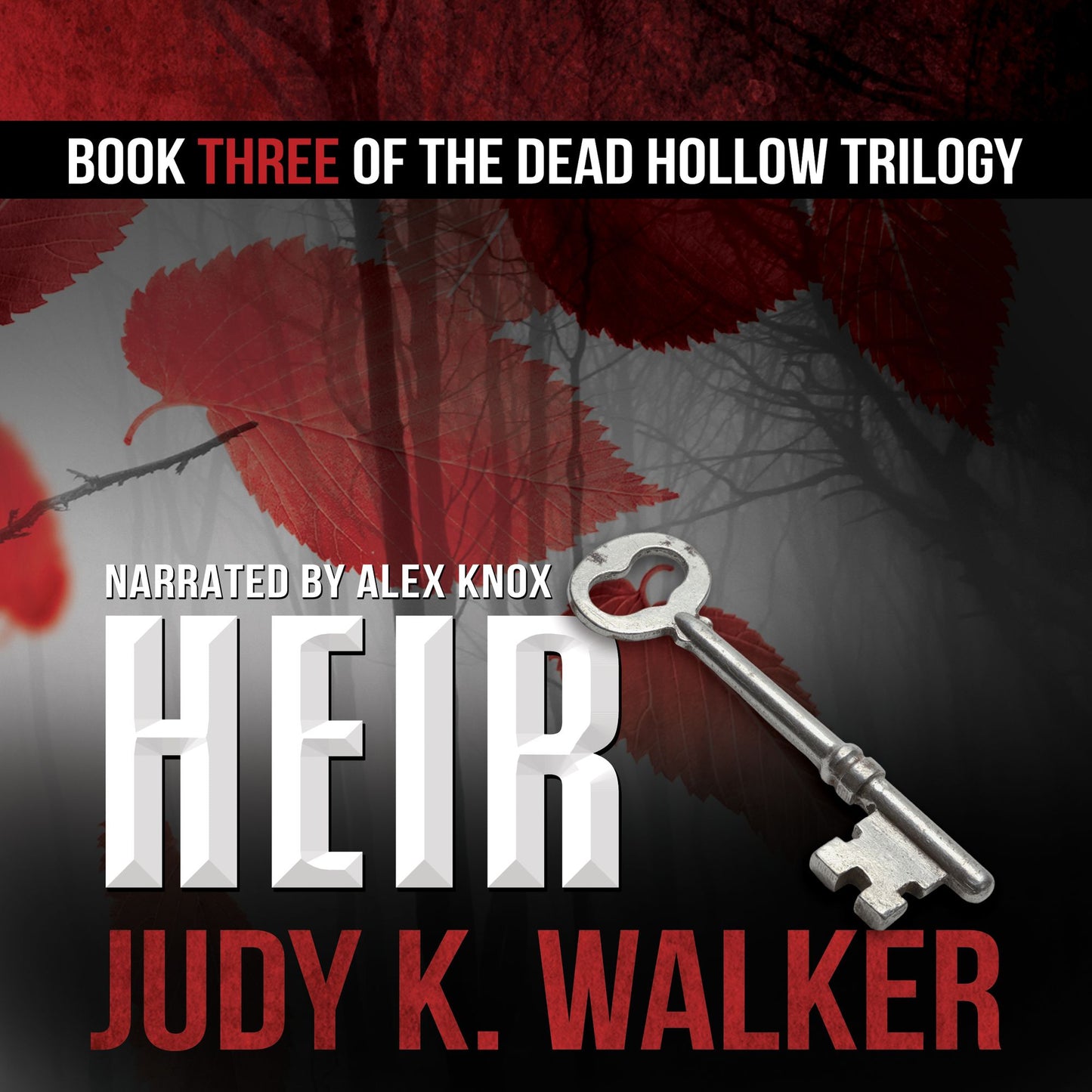 Heir: A Supernatural Crime Thriller