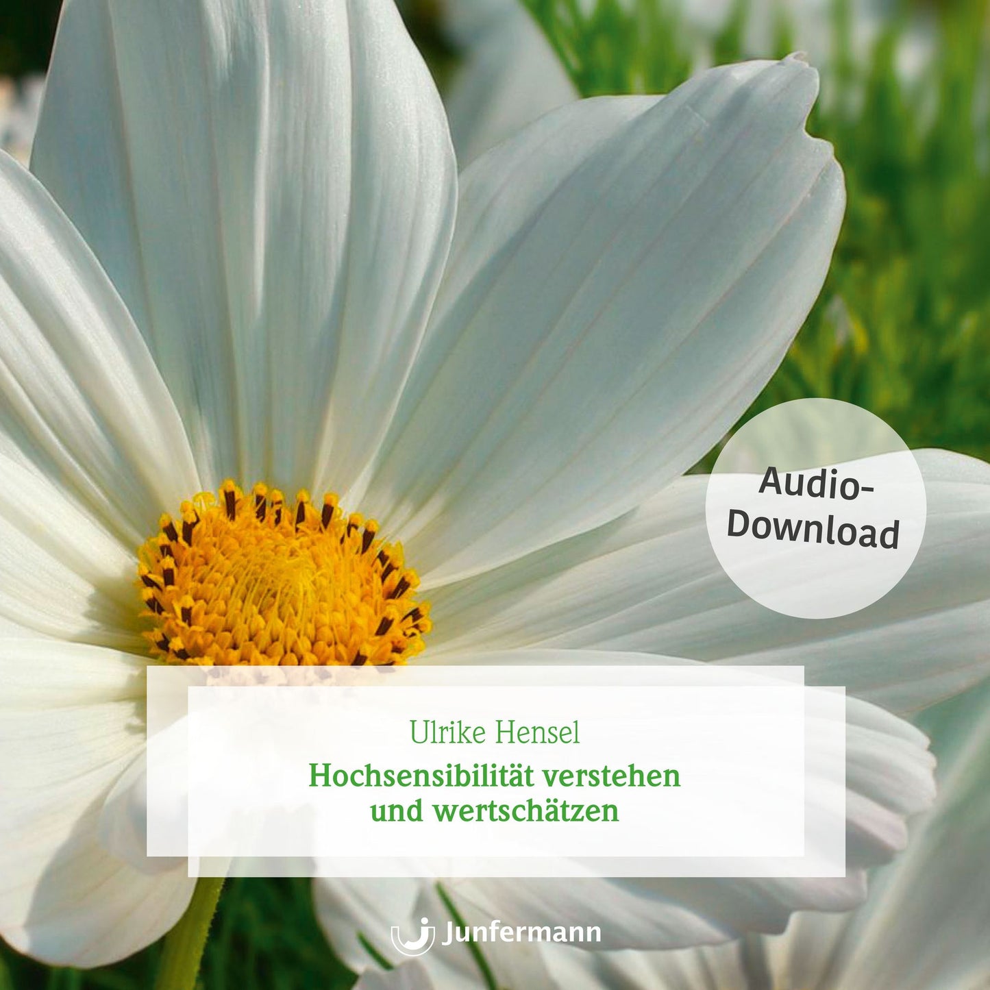 Hochsensibilität verstehen und wertschätzen (Abridged)