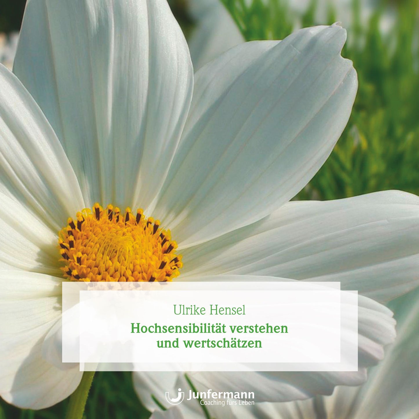 Hochsensibilität verstehen und wertschätzen (Abridged)