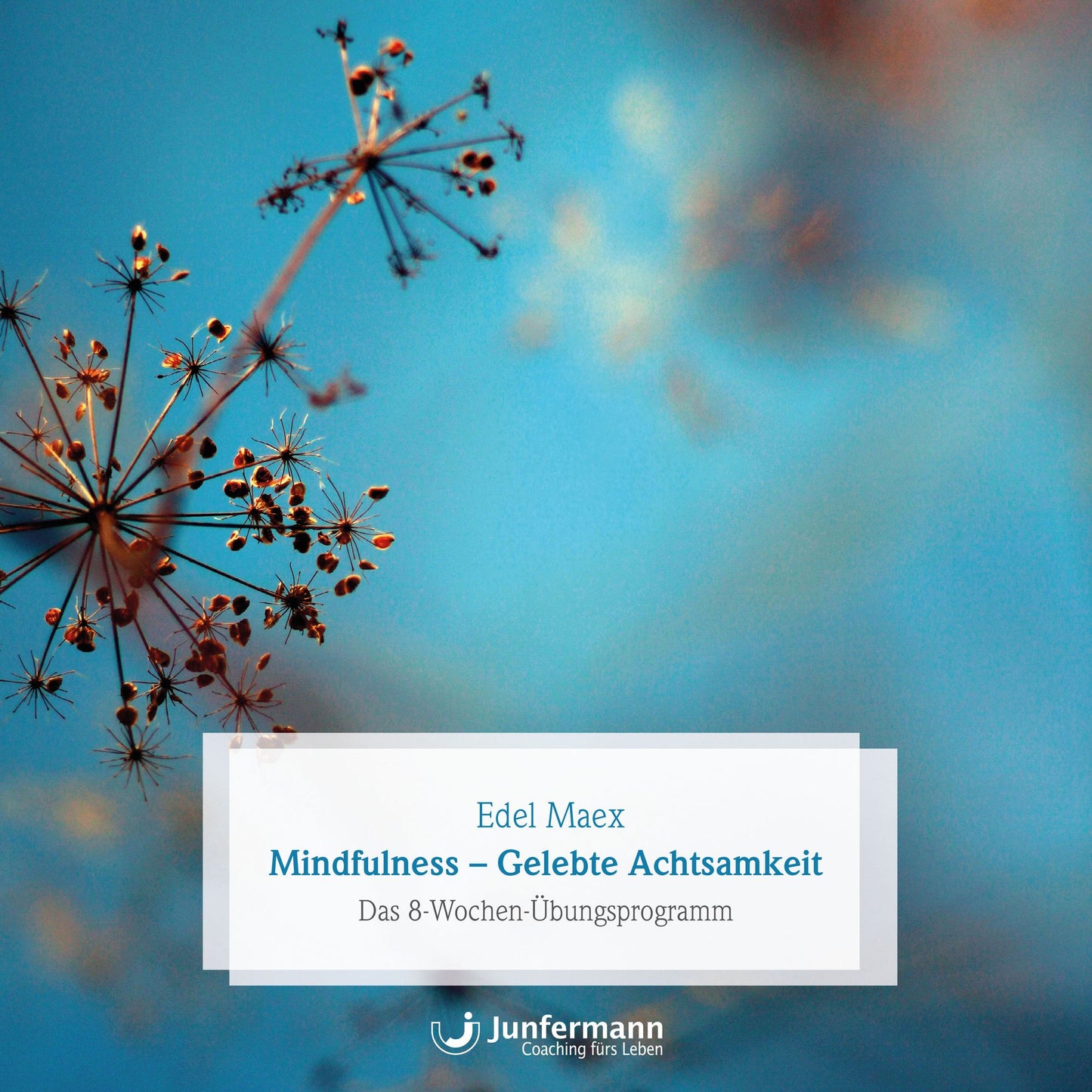 Mindfulness - gelebte Achtsamkeit: Das 8-Wochen-Übungsprogramm (Abridged)