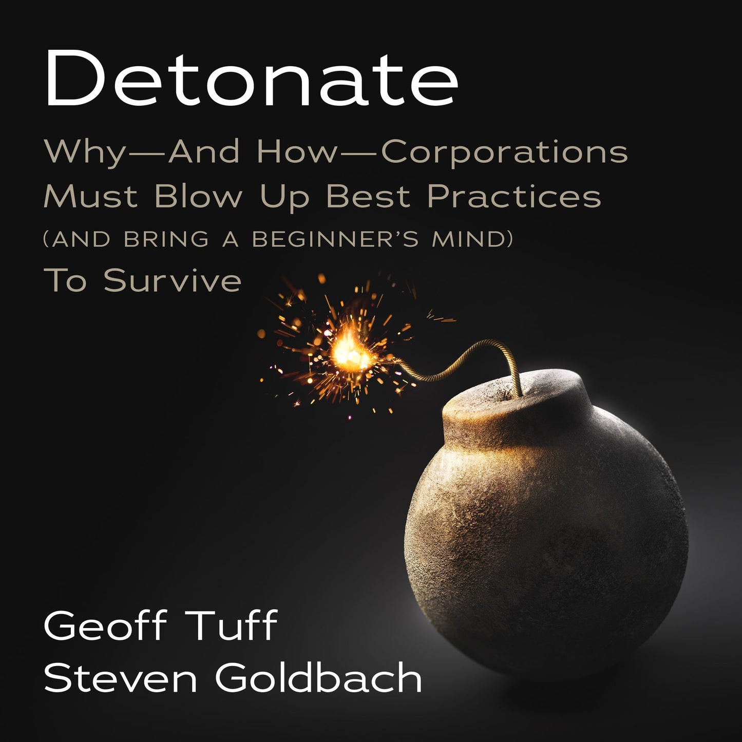 Detonate: Why-And How-Corporations Must Blow Up Best Practices (And Bring A Beginner's Mind) To Survive