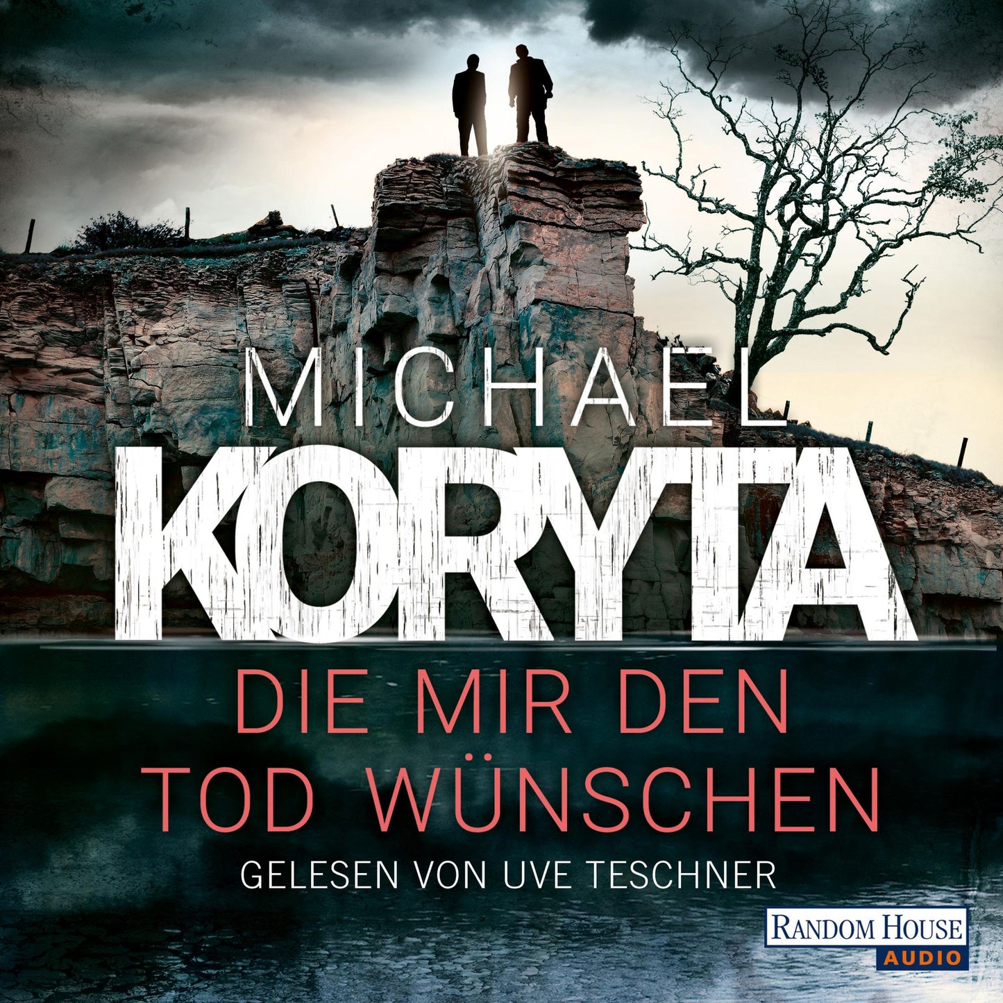 Die mir den Tod wünschen (Abridged)