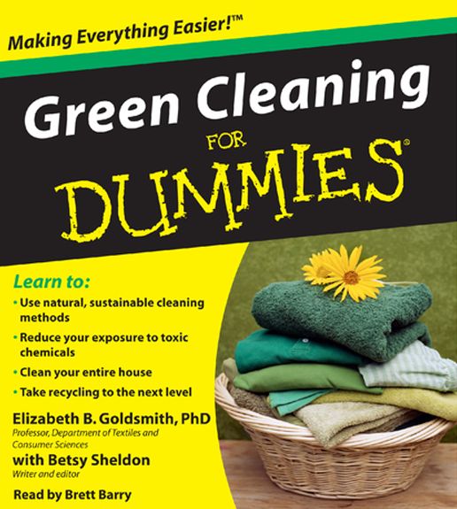 Green Cleaning for Dummies (Abridged)