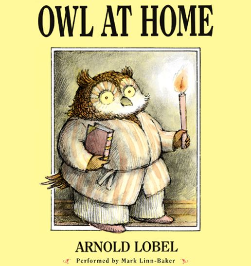 Owl at Home