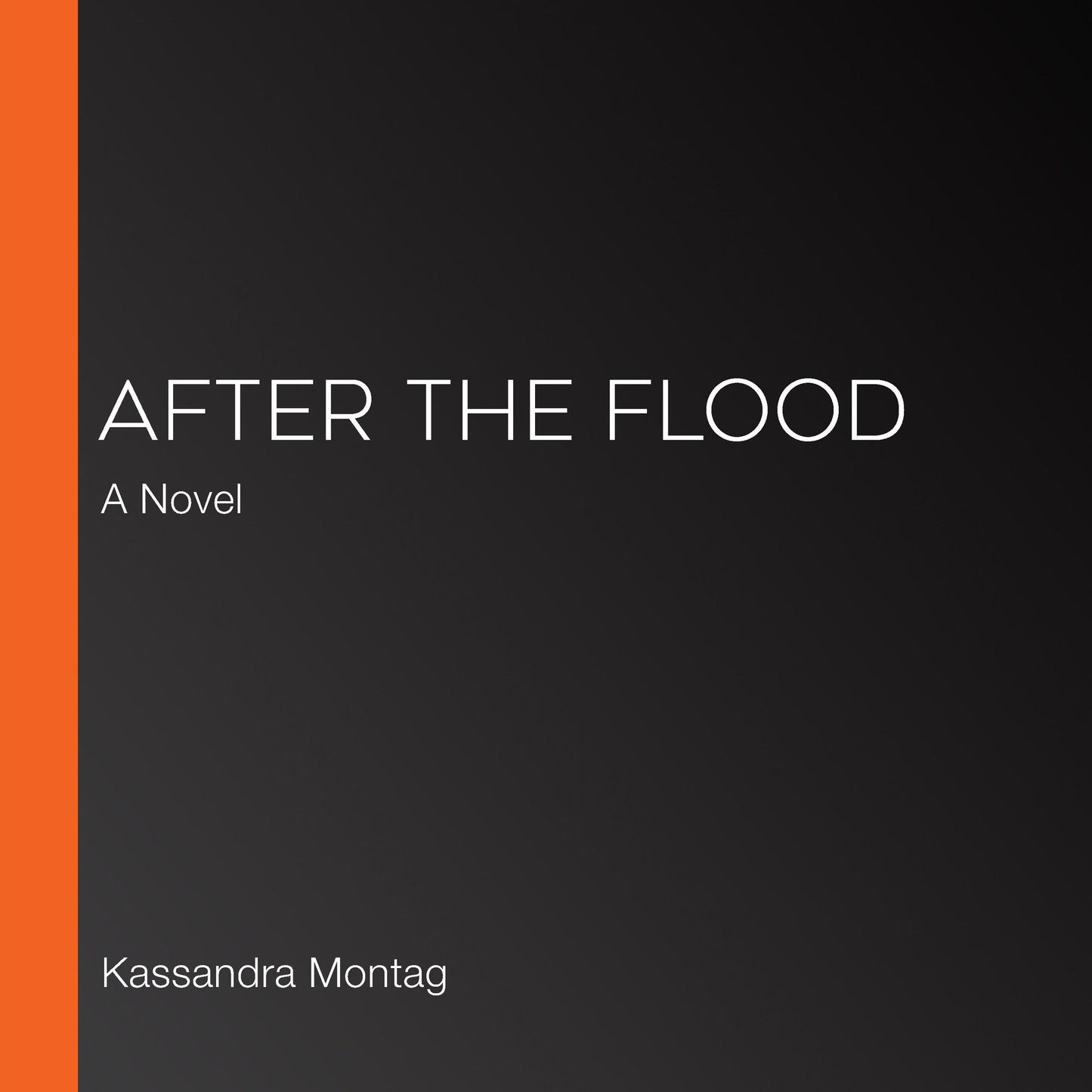 After the Flood: A Novel