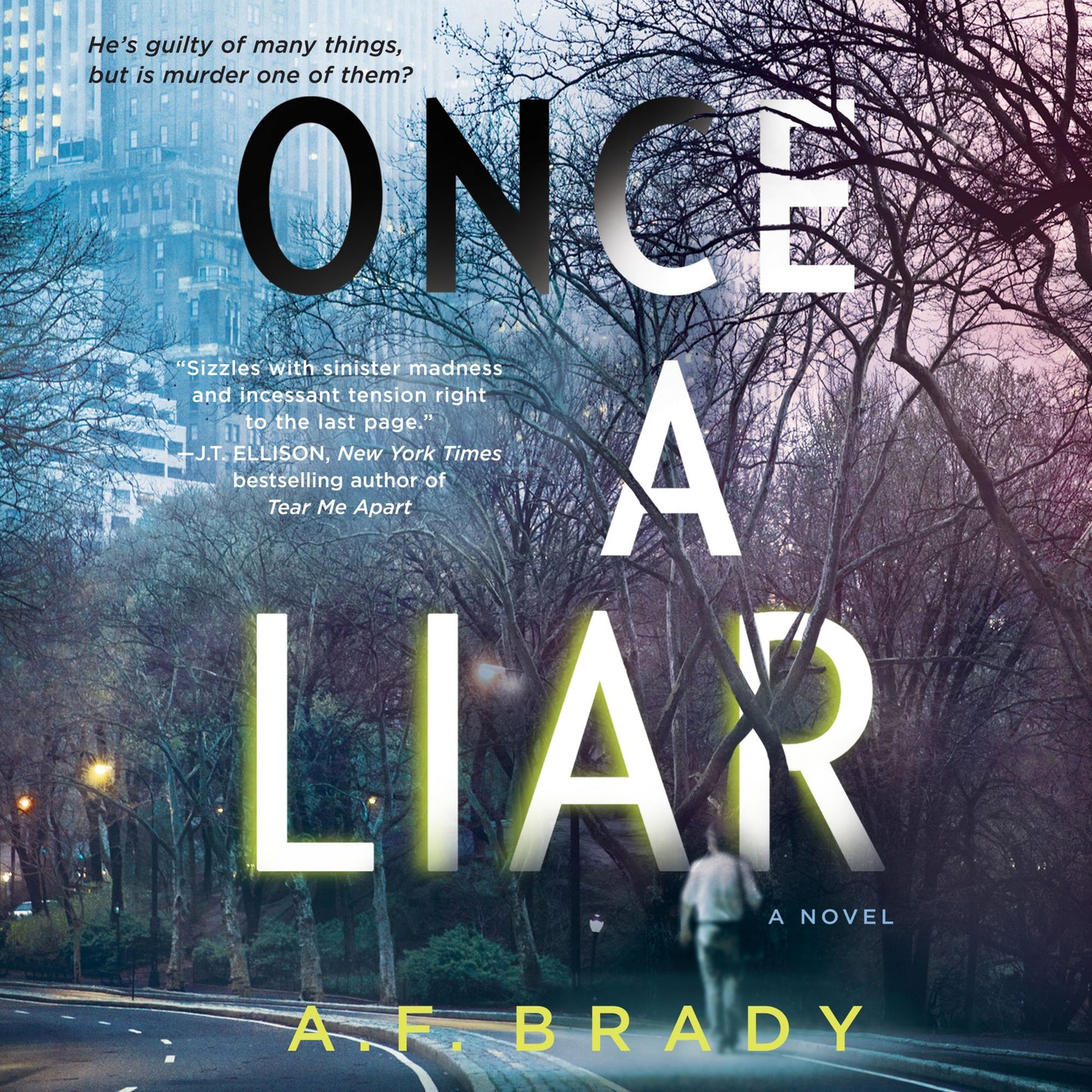 Once a Liar: A Novel