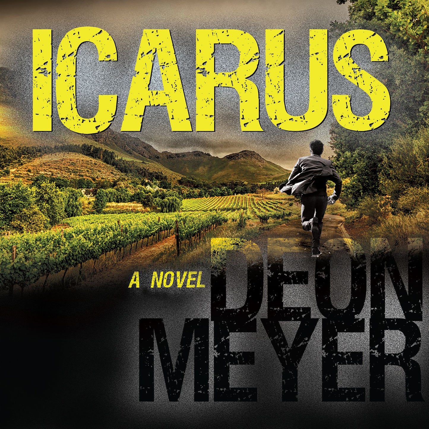 Icarus: A Novel