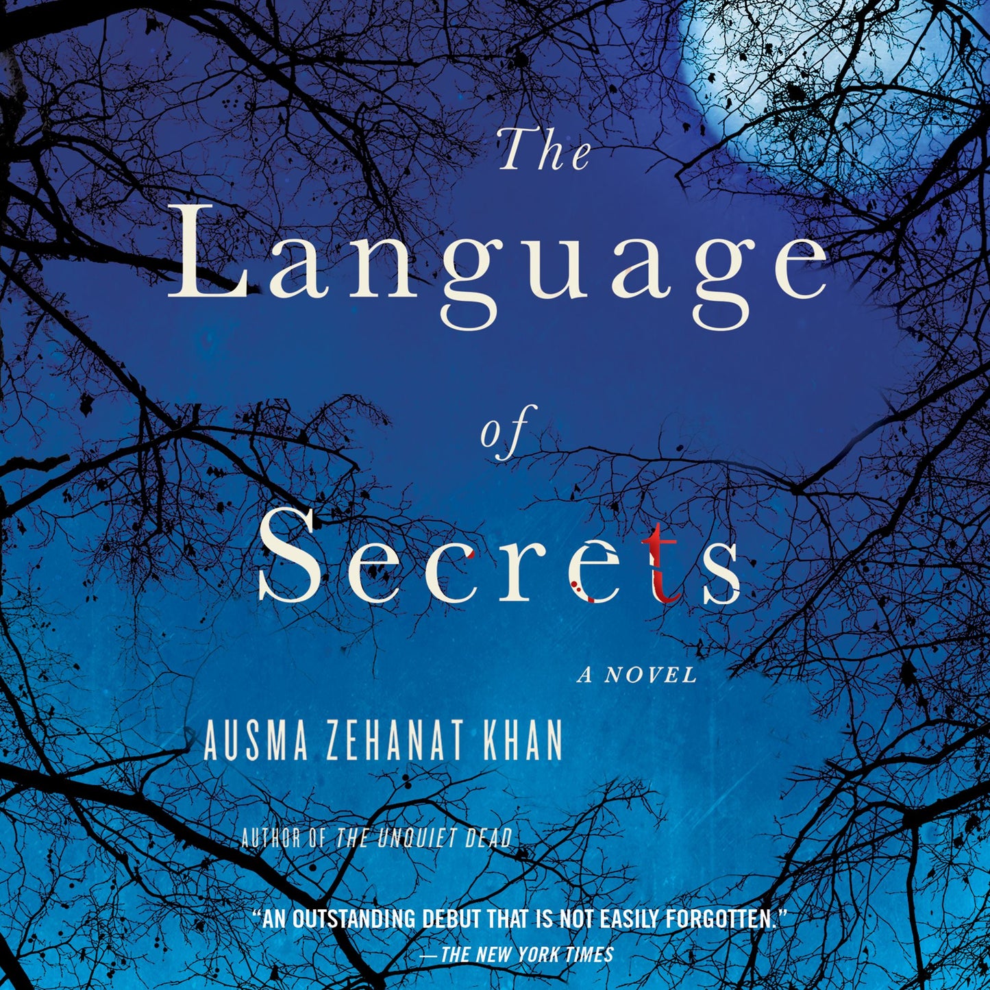 The Language of Secrets: A Novel