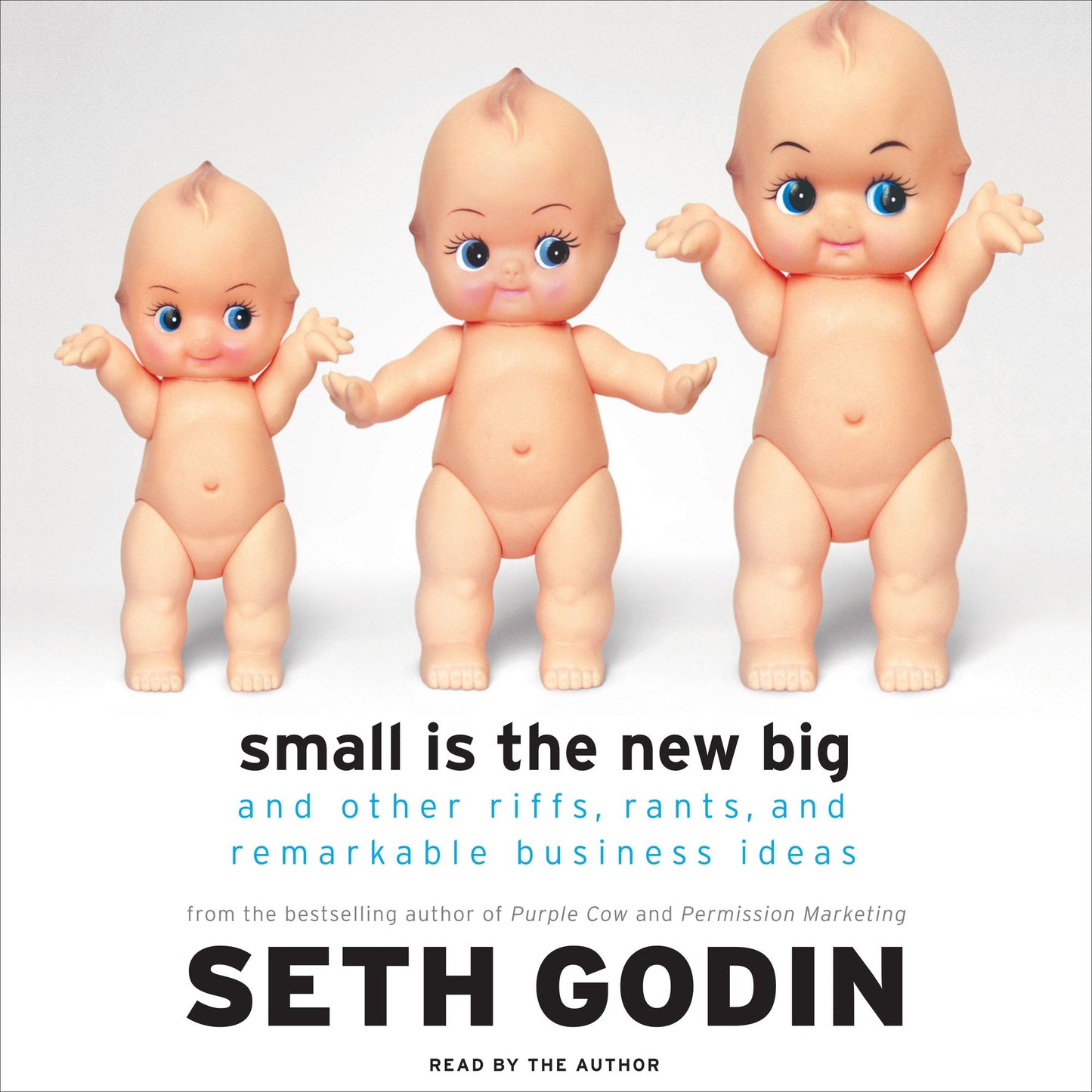 Small Is the New Big: And Other Riffs, Rants, and Remarkable Business Ideas (Abridged)