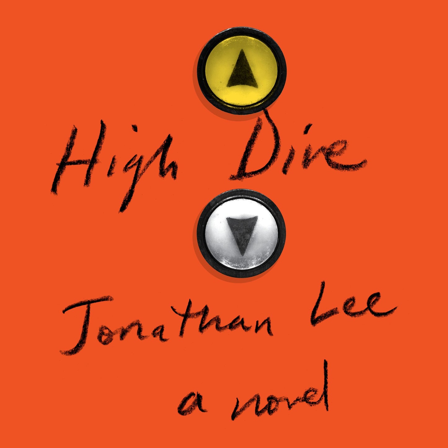 High Dive: a novel