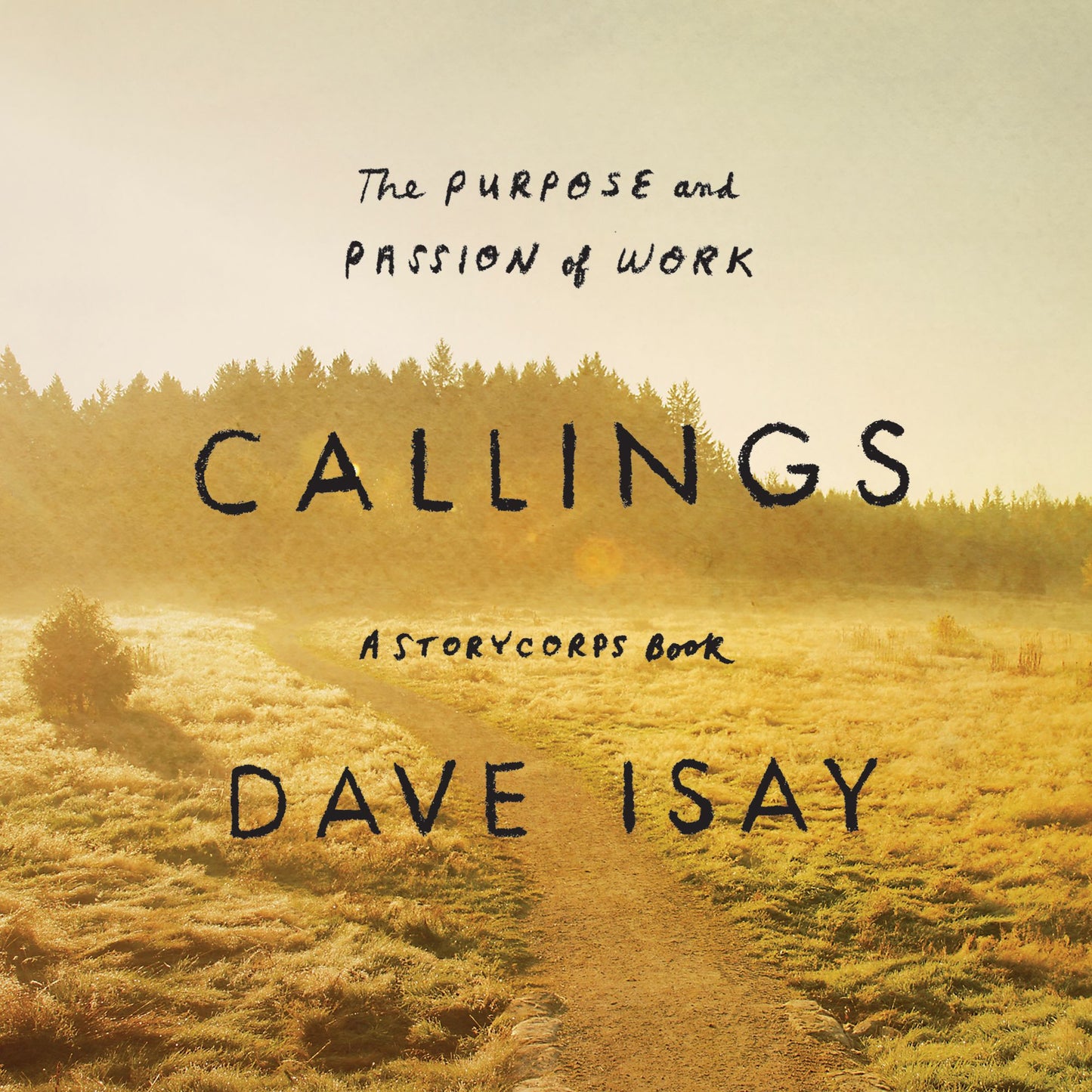 Callings: The Purpose and Passion of Work (A StoryCorps Book)