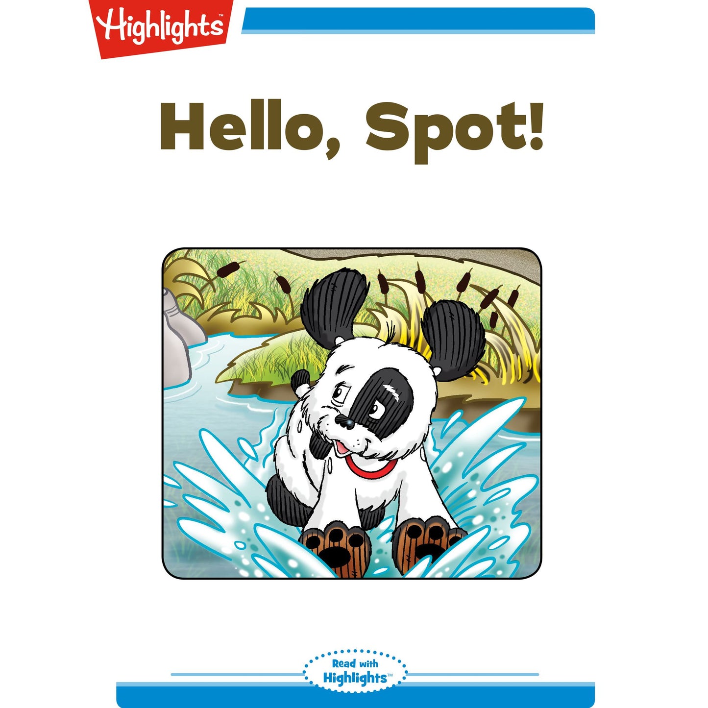 Hello, Spot!