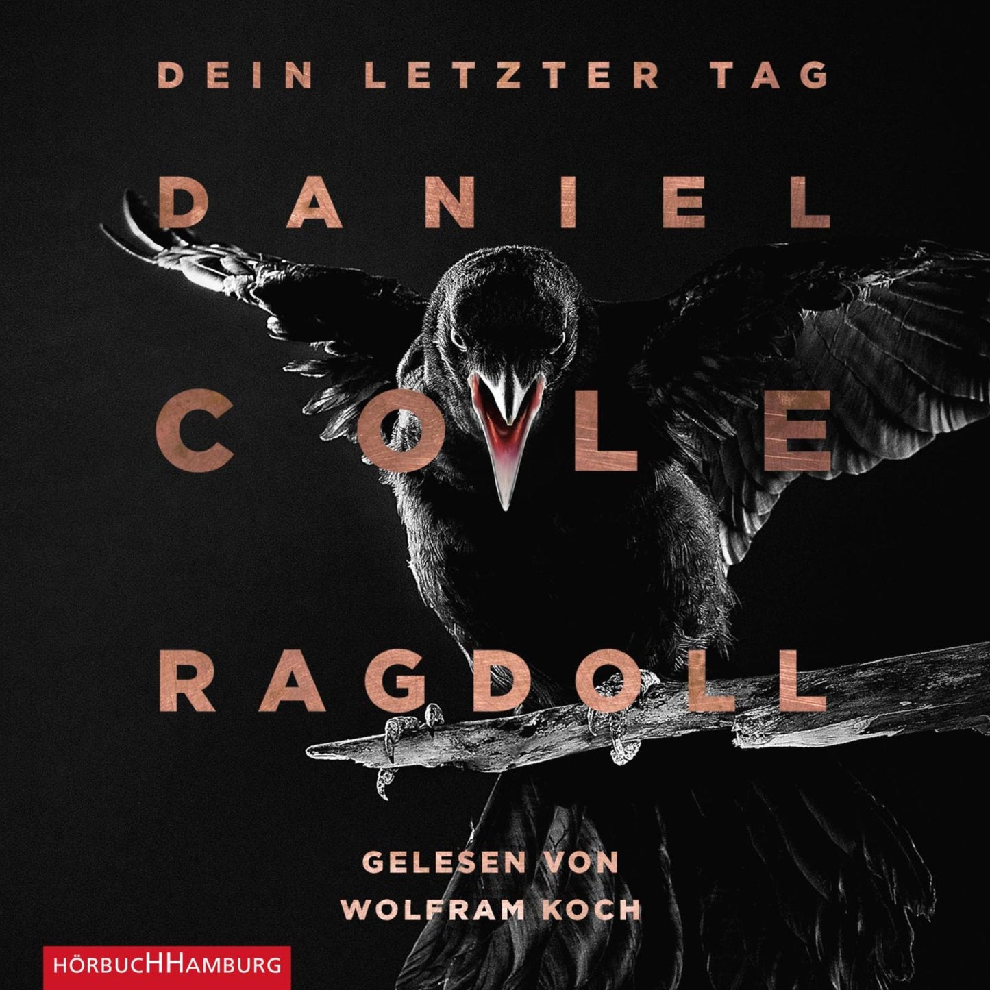 Ragdoll - Dein letzter Tag (Abridged)