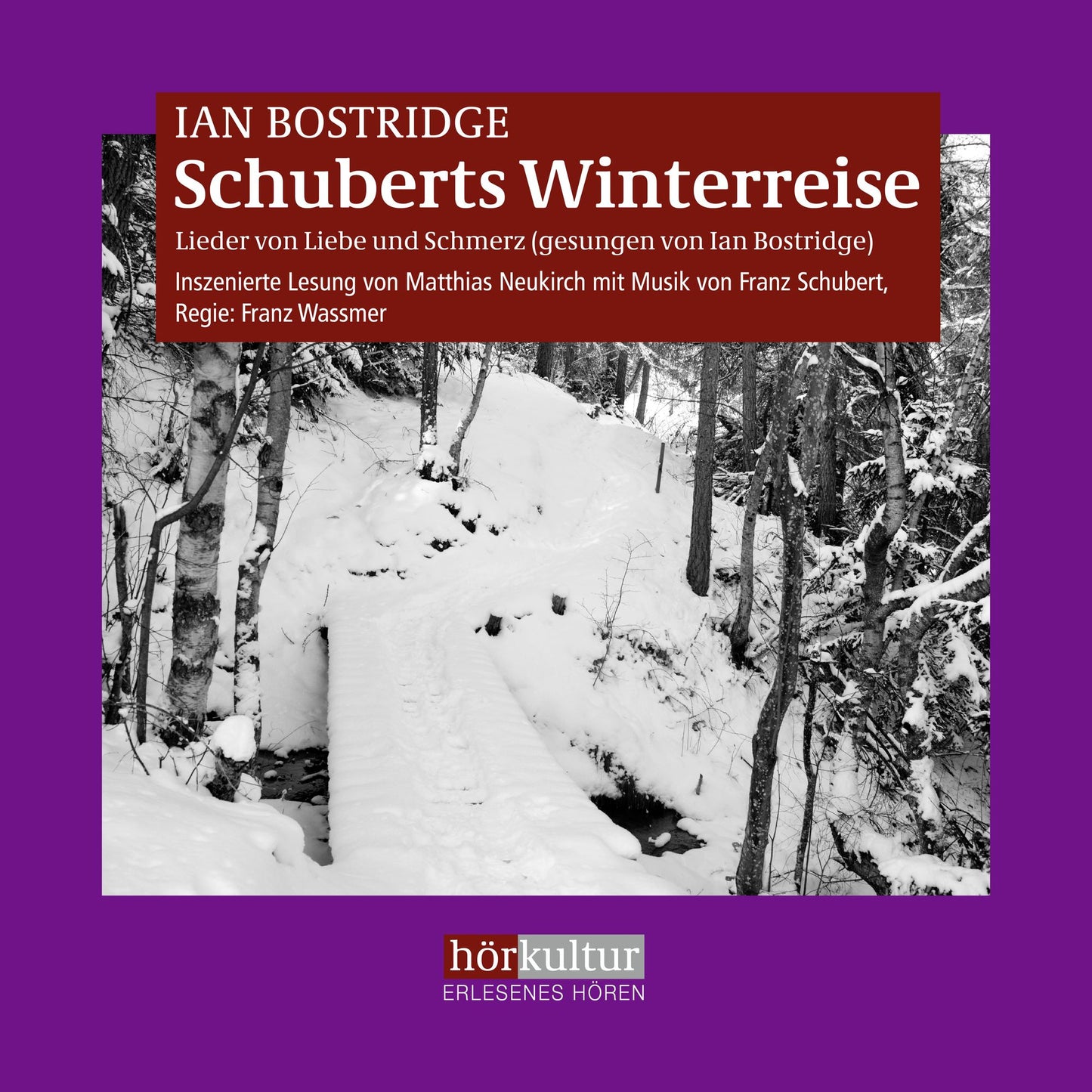 Schuberts Winterreise: Lieder von Liebe und Schmerz (Abridged)